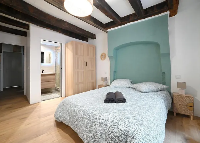 Maison Avec Spa Dans L\'Hyper Centre De Poitiers